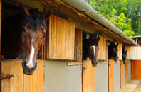 free St Twynnells stable construction quotes